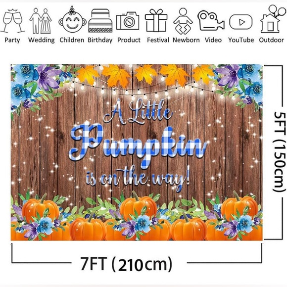 Baby Shower Party Banner Photo Backdrop Our Little Pumpkin is on The Way NEW - Picture 5 of 11